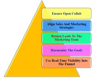 align-business-development-and-marketing-strategy